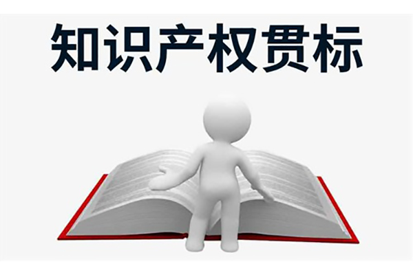 东莞知识产权贯标哪家好